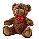 Adorable Plush Bear –  House Of Blooms, Homer Glen IL