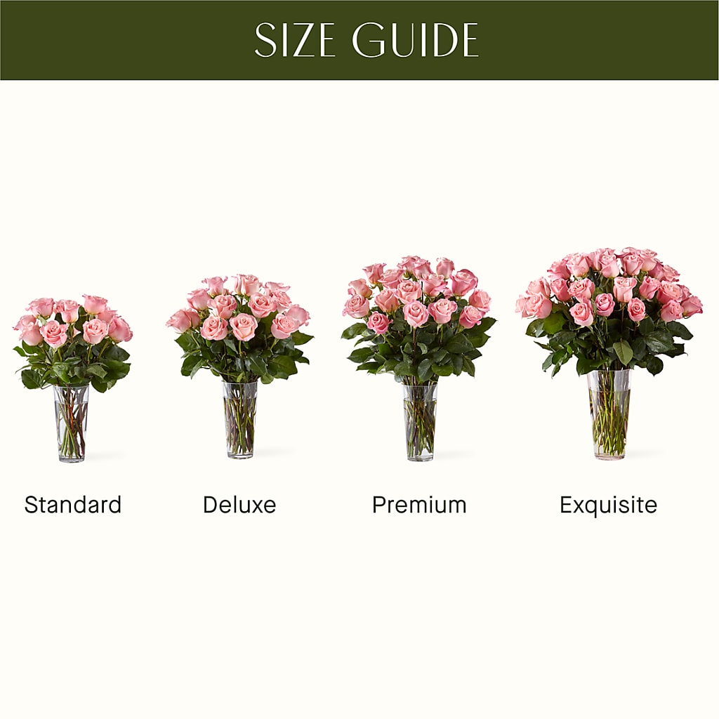 Long Stem Pink Rose Bouquet –  House Of Blooms, Homer Glen IL