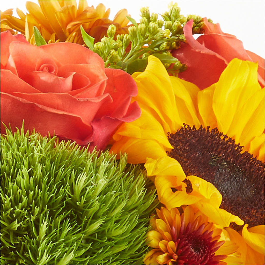 Farmer’s Market Stroll Bouquet –  House Of Blooms, Homer Glen IL