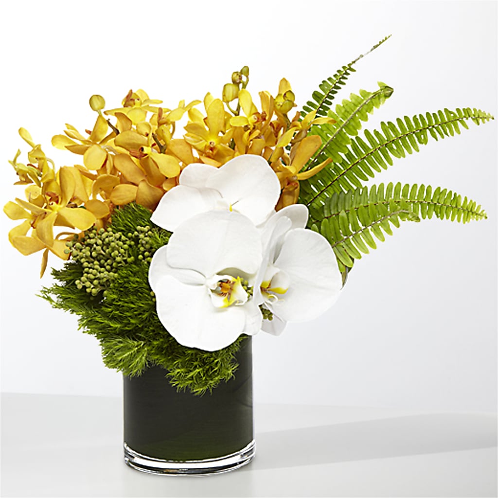 The Tropics –  House Of Blooms, Homer Glen IL
