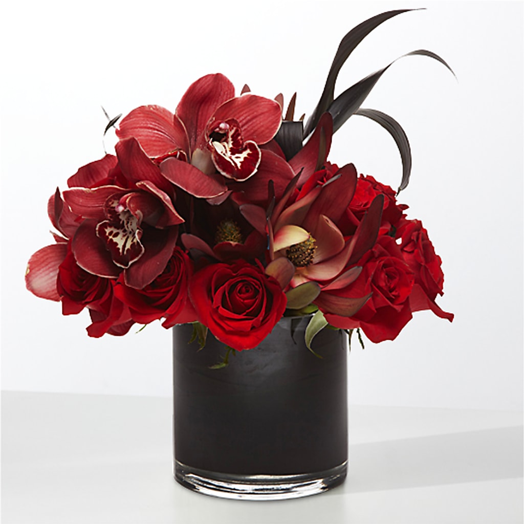 The Eclipse –  House Of Blooms, Homer Glen IL
