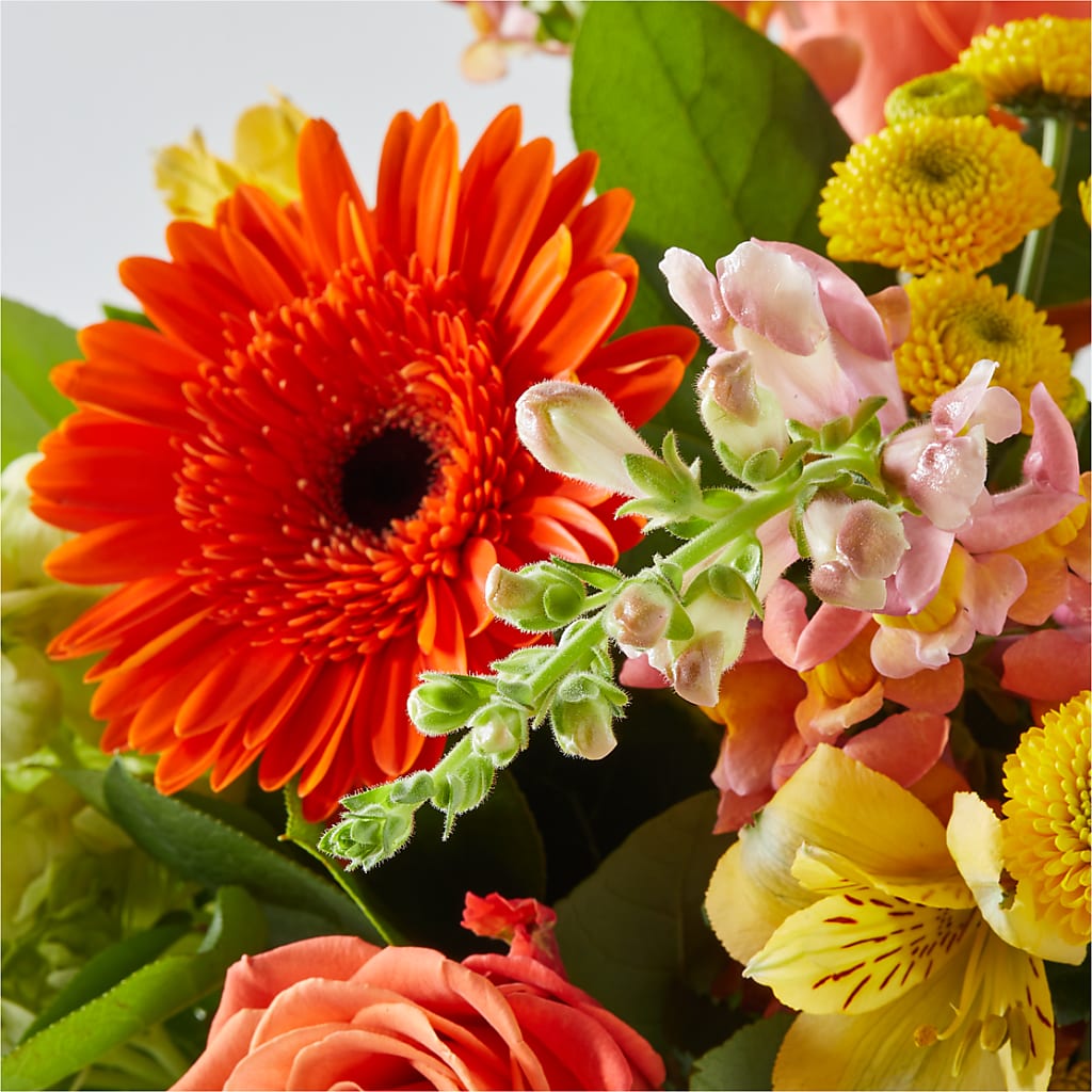 Autumn Sunshine Bouquet –  House Of Blooms, Homer Glen IL