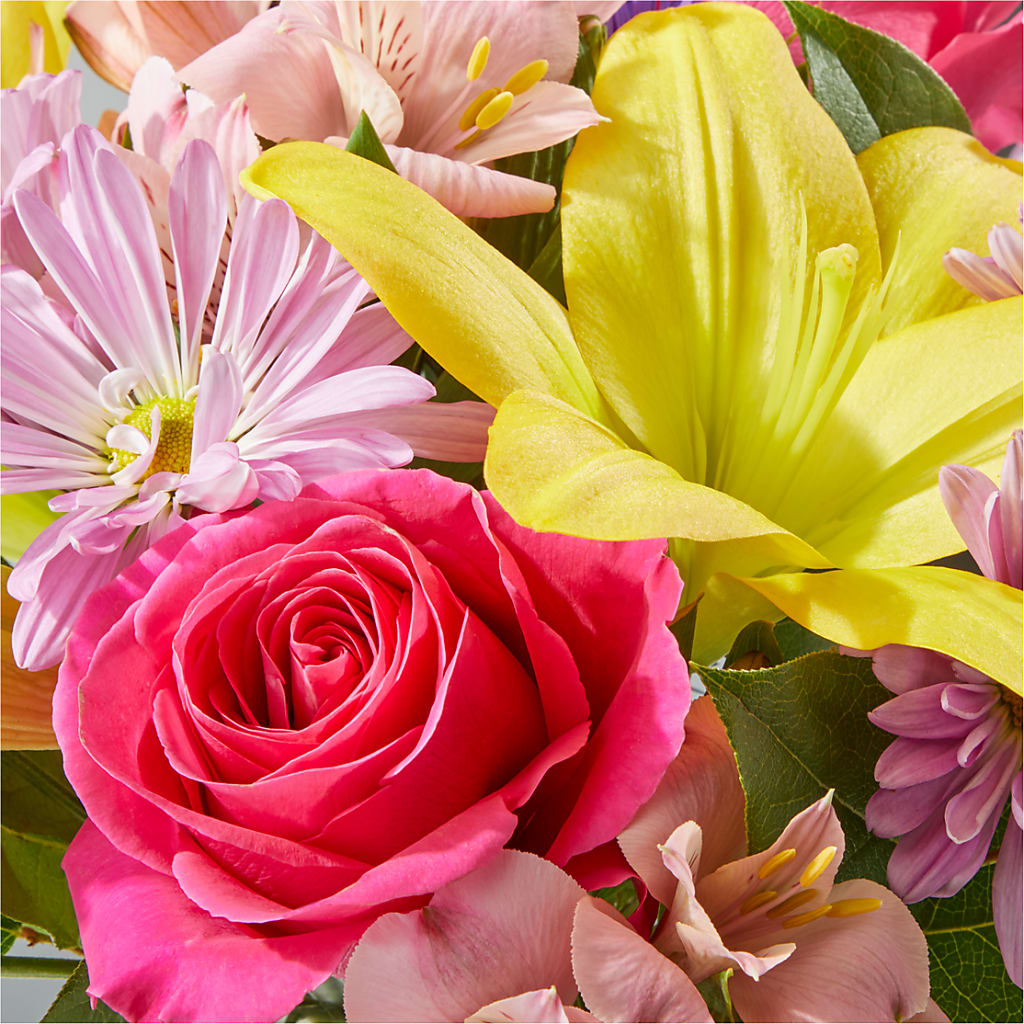 Sprinkles Bouquet –  House Of Blooms, Homer Glen IL